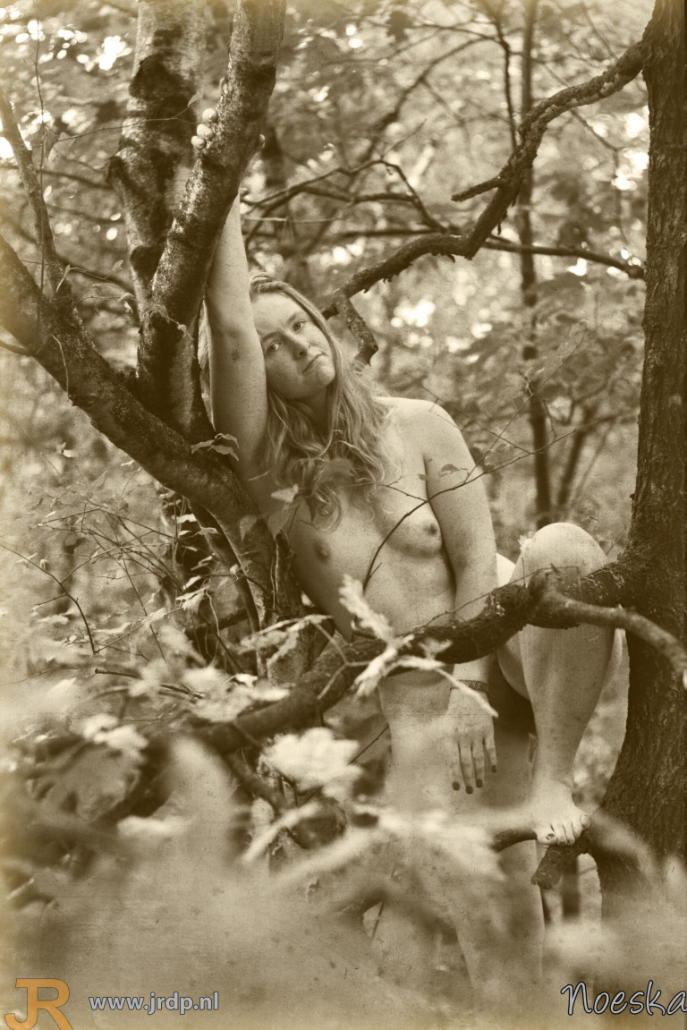 Datum: 03-09-2018
Locatie: Harderwijkerbos te Harderwijk (GE)
Model: Noeska Datum: 03-09-2018
Locatie: Harderwijkerbos te Harderwijk (GE)
Model: Noeska