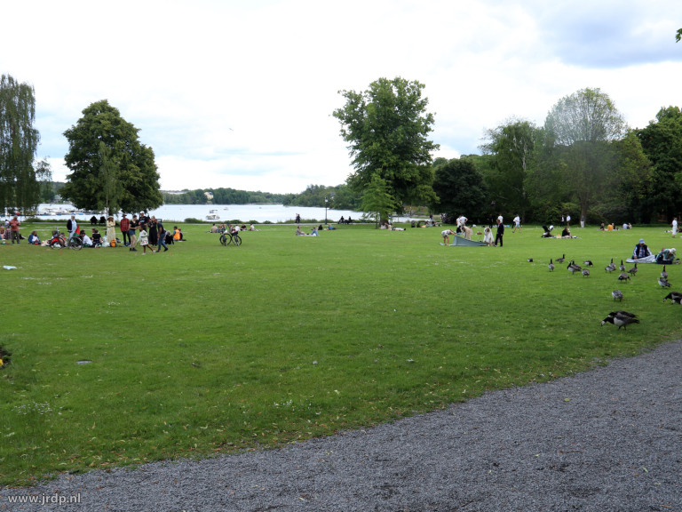 Midsommar in het park IMG_5352